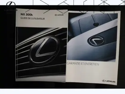 Photo 23 Lexus Nx 300H Business 2WD