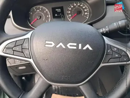 Photo 11 Dacia Sandero  1.0 ECO-G 100ch Stepway Extreme -24