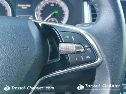 Photo 18 Skoda Kodiaq  2.0 TDI 150 SCR DSG7 7pl Ambition