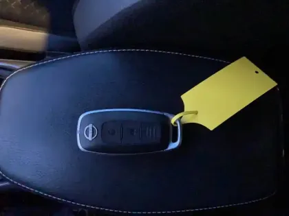 Photo 53 Nissan Juke  DIG-T 114