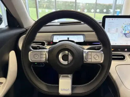 Photo 17 Smart Smart 1 Smart #1 368 ch