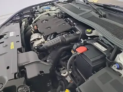 Photo 14 Peugeot 308  BlueHDi 130ch S&S EAT8