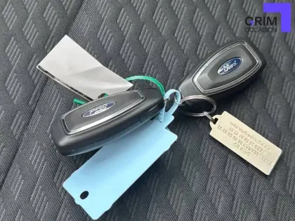 Photo 28 Ford Puma  1.0 EcoBoost 125 ch mHEV S&S BVM6