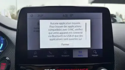 Photo 25 Ford Puma  1.0 EcoBoost 170 ch mHEV S&S Powershift