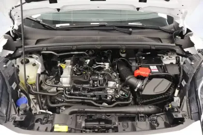 Photo 45 Ford Puma  1.0 Flexifuel 125 ch mHEV S&S BVM6