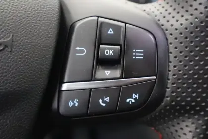 Photo 30 Ford Puma  1.0 Flexifuel 125 ch mHEV S&S BVM6