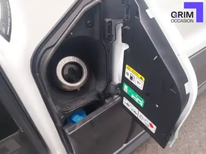 Photo 23 Ford Transit  FGN P350 L4H3 2.0 ECOBLUE 170 S&S