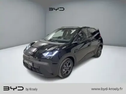 Photo Byd Dolphin Comfort