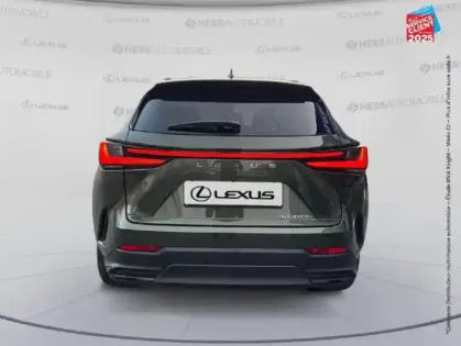 Photo 6 Lexus Nx  450h+ Executive 4WD MY25