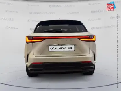 Photo 6 Lexus Nx  450h+ Executive 4WD MY25