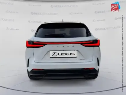 Photo 6 Lexus Nx  350h 197ch Luxe Plus 2WD MY26