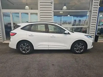 Photo 20 Ford Kuga 2.5 Duratec 190ch FHEV E85 ST-Line Business BVA