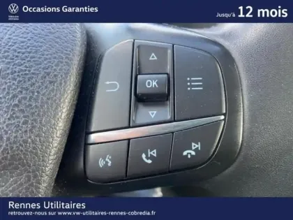 Photo 14 Ford Transit Custom  Fg 320 L2H1 2.0 EcoBlue 170 Cabine Approfondie Trail