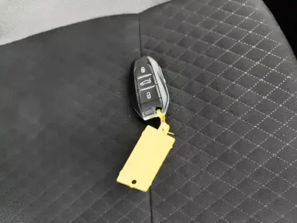 Photo 23 Opel Grandland X  Hybrid4 300 ch AWD BVA8