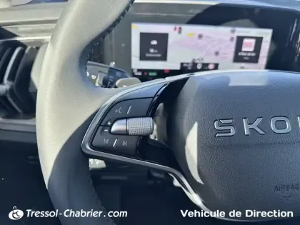Photo 22 Skoda Kodiaq  1.5 TSI 204 ch PHEV DSG6 5pl