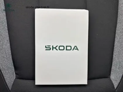 Photo 28 Skoda Kamiq  1.0 TSI Evo 2 116 ch DSG7