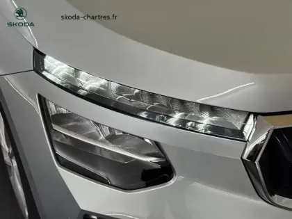 Photo 26 Skoda Kamiq  1.0 TSI Evo 2 116 ch DSG7