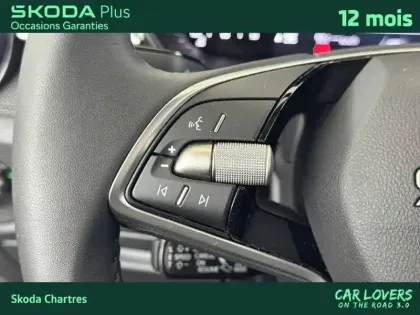 Photo 15 Skoda Fabia  1.0 TSI 95 ch EVO 2 BVM5