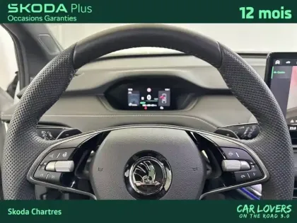 Photo 12 Skoda Enyaq  iV 85