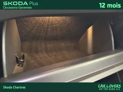 Photo 20 Skoda Enyaq  iV 85