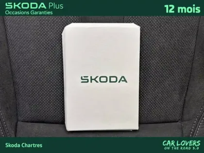 Photo 28 Skoda Enyaq  iV 85