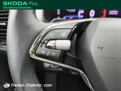 Photo 25 Skoda Kodiaq  2.0 TDI 150 SCR DSG7 4x4 5pl