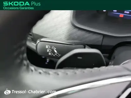 Photo 24 Skoda Kodiaq  2.0 TDI 150 SCR DSG7 4x4 5pl
