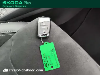 Photo 21 Skoda Kodiaq  2.0 TDI 150 SCR DSG7 4x4 5pl