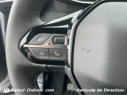 Photo 22 Peugeot 2008  Electrique 50 kWh 136 ch