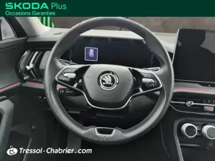 Photo 10 Skoda Kodiaq  2.0 TDI 150 ch SCR DSG7 7pl