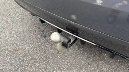 Photo 29 BMW Serie 4 Coupe 430d xDrive 286 ch BVA8