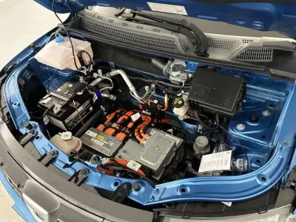 Photo 20 Dacia Spring  Achat Intégral