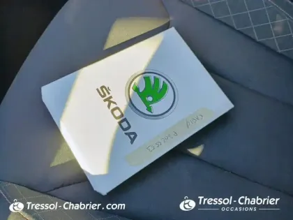 Photo 15 Skoda Kamiq  1.0 TSI Evo 110 ch BVM6 Ambition