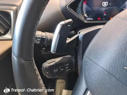 Photo 16 DS DS 3 DS3 Crossback PureTech 130 EAT8 Grand Chic