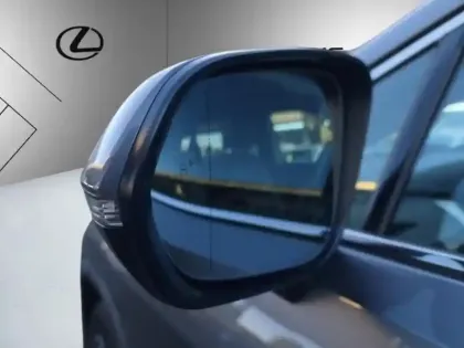 Photo 22 Lexus RX LUXE Pano Techno