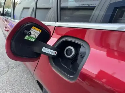 Photo 7 Ford Focus  SW 1.0 Flexifuel mHEV 125ch Titanium X Business Powershift