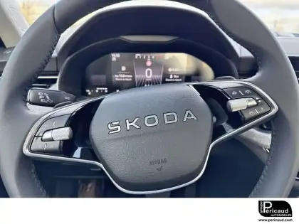 Photo 30 Skoda Kamiq  1.0 TSI Evo 2 116 ch DSG7