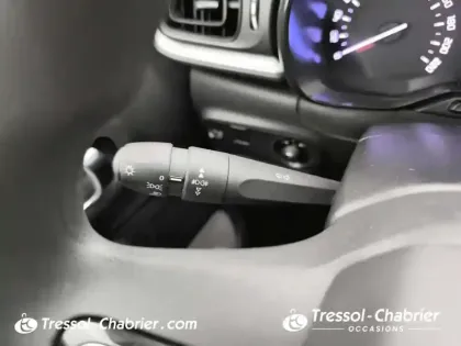 Photo 51 Citroën C3  BlueHDi 100 BVM6