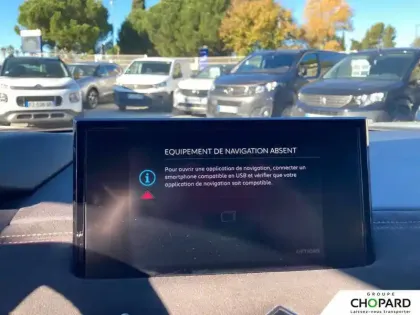 Photo 31 DS DS 3 DS3 Crossback E-Tense