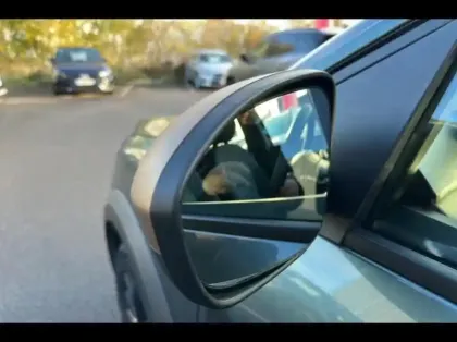 Photo 14 Dacia Sandero  1.0 ECO-G 100ch Stepway Extreme