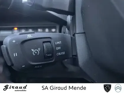 Photo 49 Peugeot 3008  Hybrid 225 e-EAT8