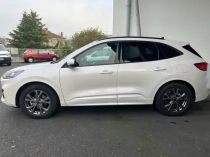 Photo 20 Ford Kuga 2.5 Duratec 190ch FHEV E85 ST-Line Business BVA