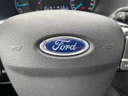 Photo 14 Ford Transit Custom Fg 320 L2H1 2.0 EcoBlue 170 Cabine Approfondie MS-RT BVA6