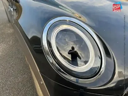 Photo 27 Mini Mini  Cooper SE 184ch Edition Premium Plus BVA 5CV