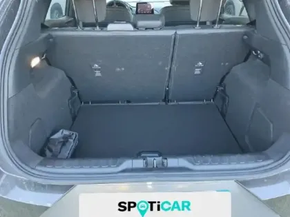 Photo 5 Ford Puma  1.0 Flexifuel 125ch S&S mHEV Titanium