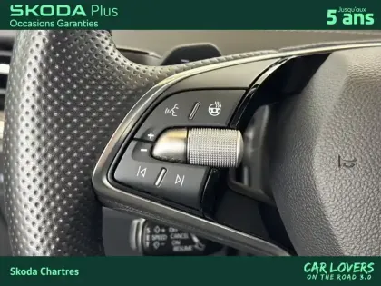 Photo 18 Skoda Enyaq  iV 85