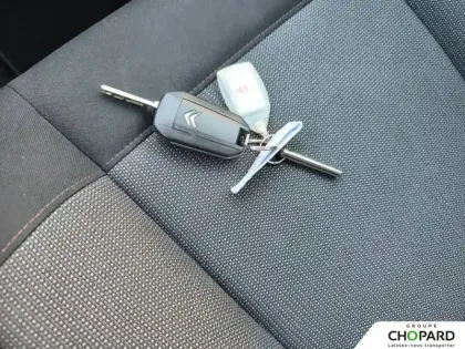 Photo 13 Citroën C4 Cactus  PureTech 110 S&S BVM6