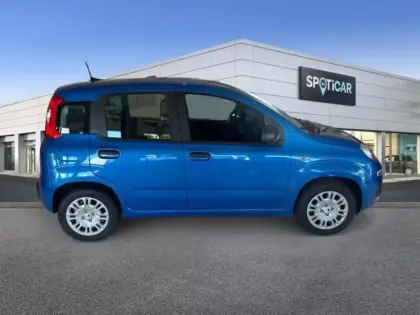 Photo 3 Fiat Panda  Pandina 1.0 65ch BSG S&S Icône