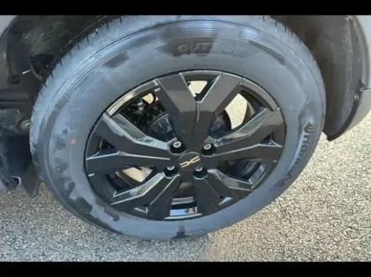 Photo 12 Dacia Sandero  1.0 ECO-G 100ch Stepway Extreme -24