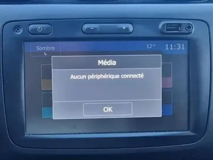 Photo 11 Dacia Duster II Prestige ECO-G 100 4x2 E6U